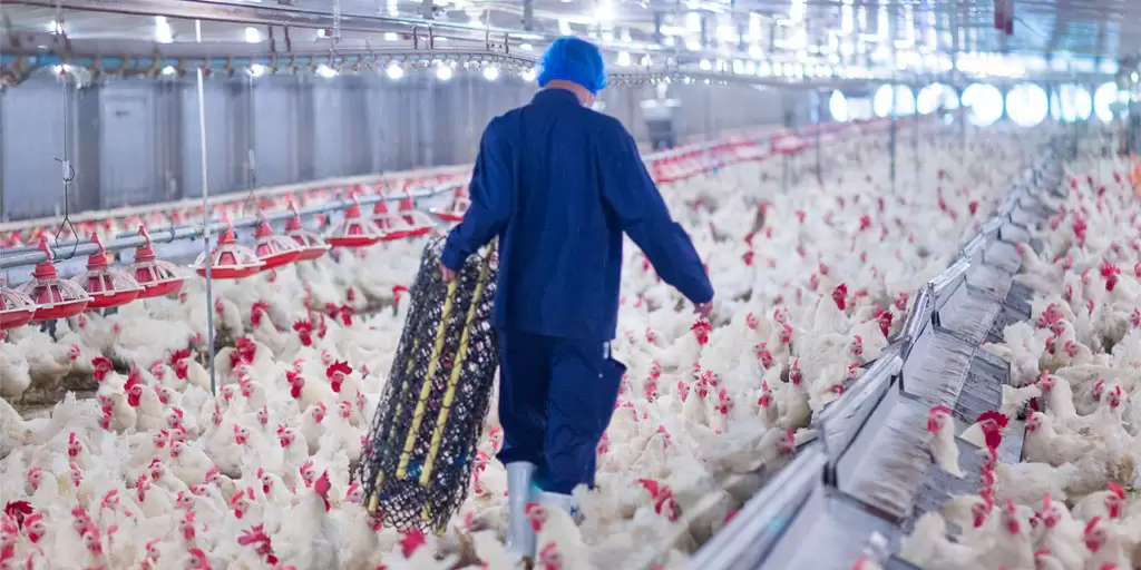 Sécurité & Hygiène